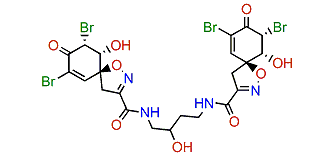 Agelocaissarine A2